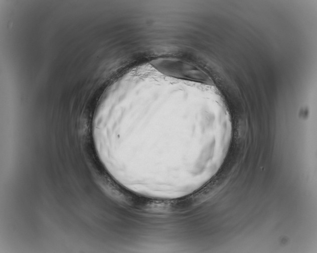 X0000096980084200802291155