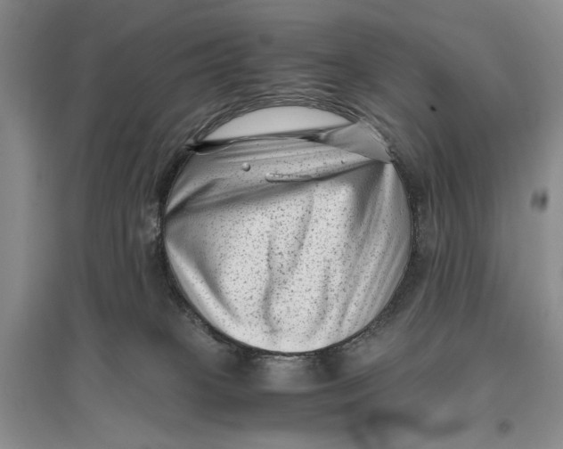 X0000096980085200802291155