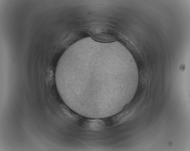 X0000096980087200802291156