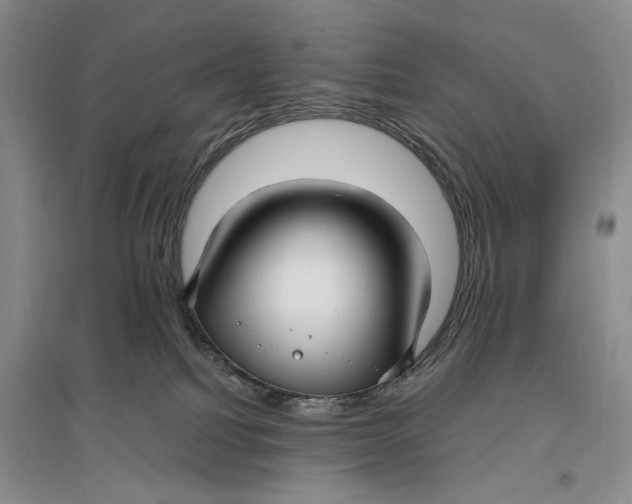 X0000096980088200802291156