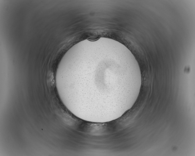 X0000096980089200802291156