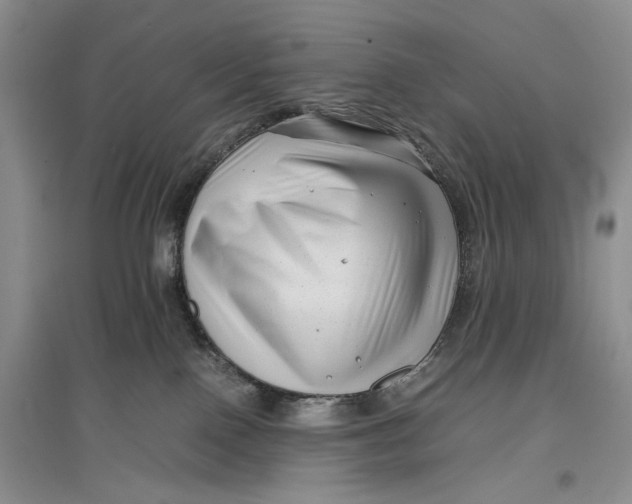 X0000096980090200802291156