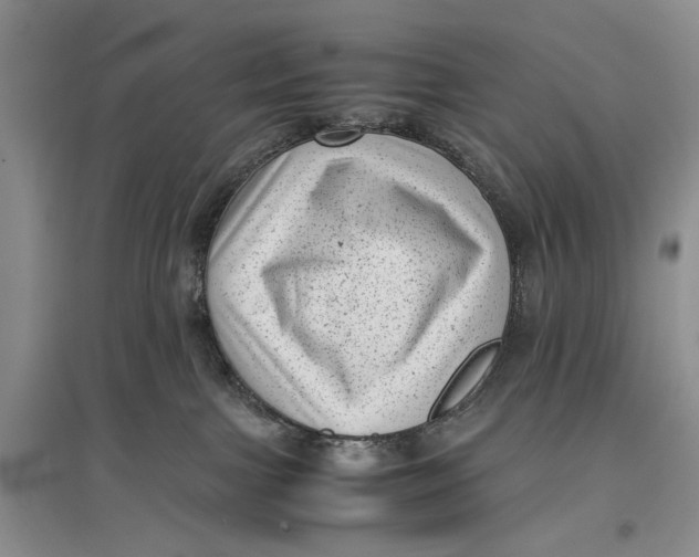 X0000096980091200802291156