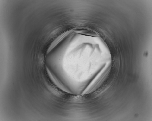 X0000096980092200802291156