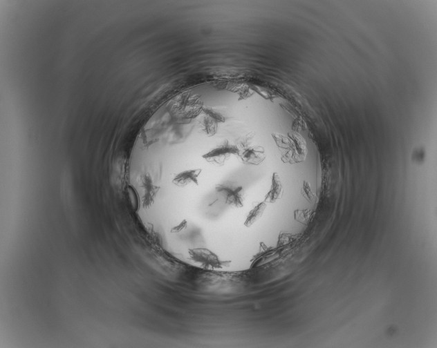 X0000096980093200802291156