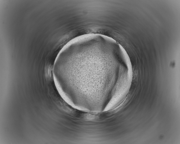 X0000096980094200802291156