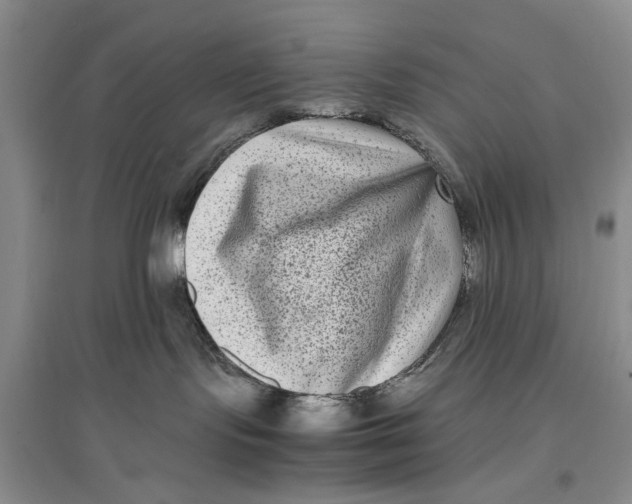 X0000096980095200802291156