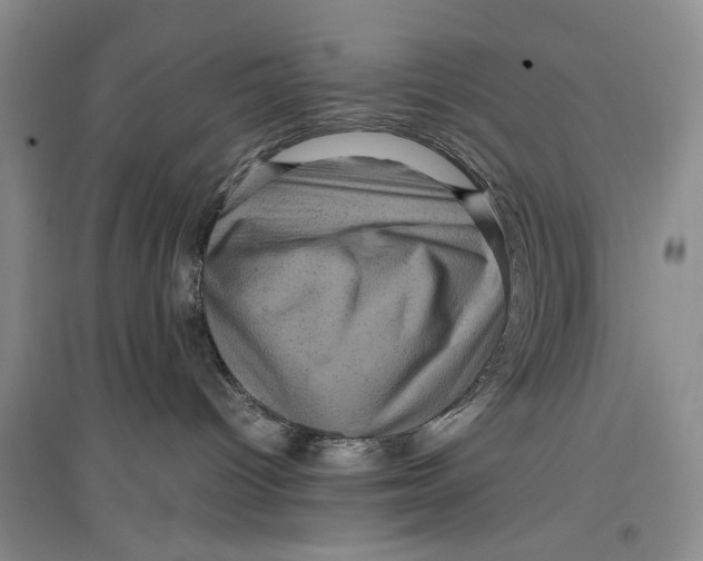 X0000096980096200802291156