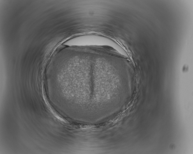 X0000096980097200802291155