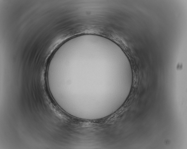 X0000096980098200802291155