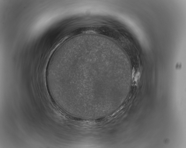 X0000096980099200802291155