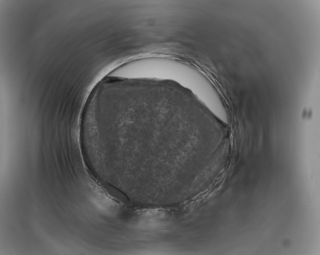 X0000096980100200802291155