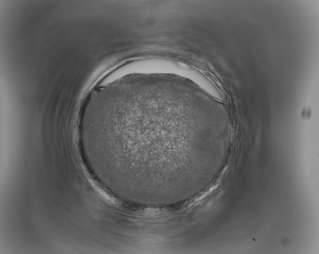 X0000096980101200802291155