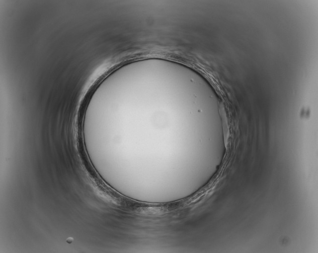 X0000096980102200802291155