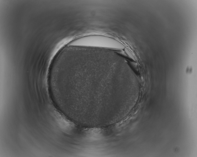 X0000096980104200802291155