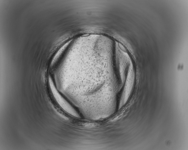 X0000096980105200802291155