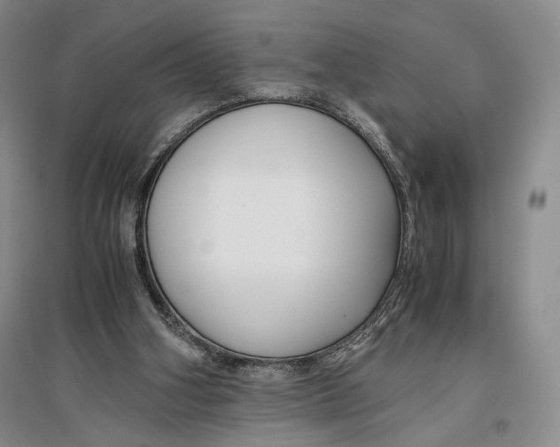 X0000096980106200802291155