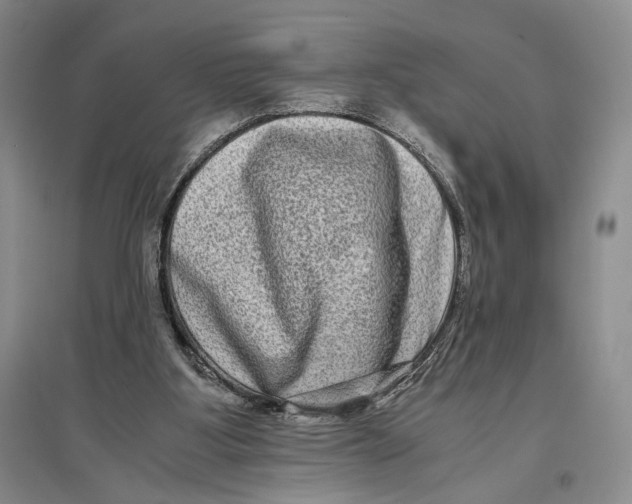 X0000096980107200802291155