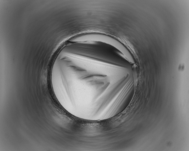 X0000096980108200802291155