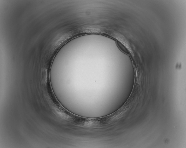 X0000096980109200802291155