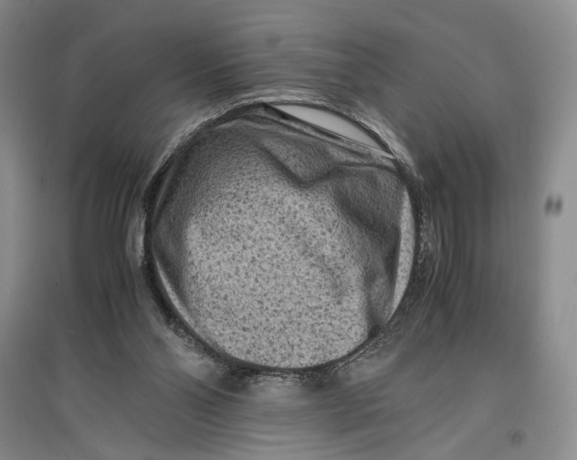 X0000096980110200802291155