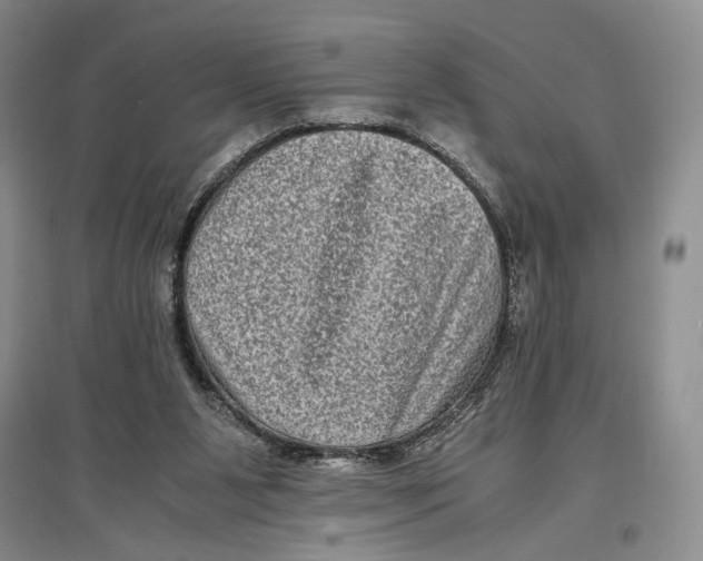 X0000096980111200802291155