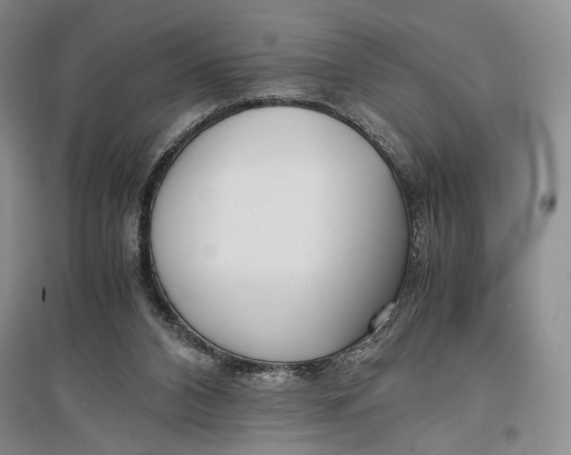 X0000096980112200802291155