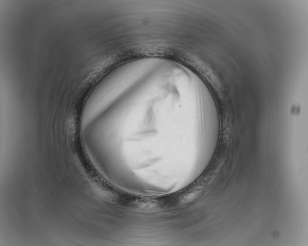 X0000096980113200802291155