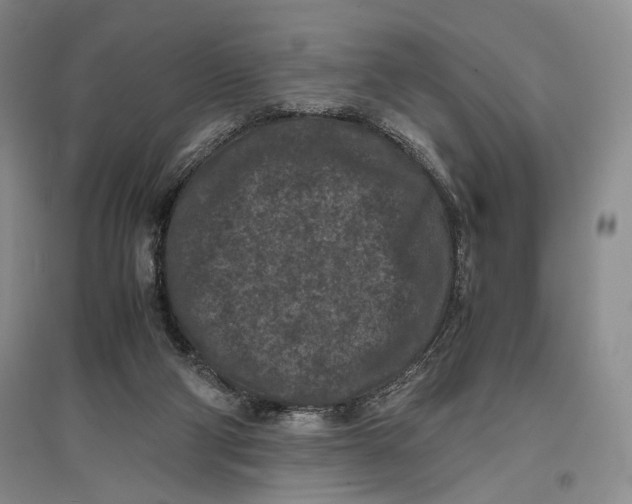 X0000096980114200802291155