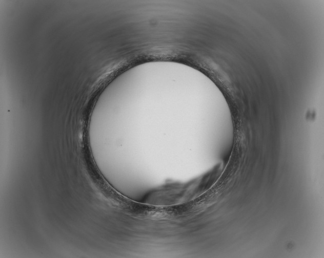 X0000096980115200802291155