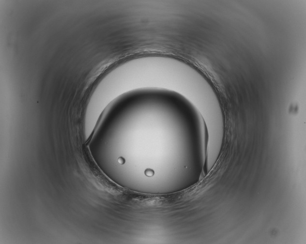 X0000096980116200802291155