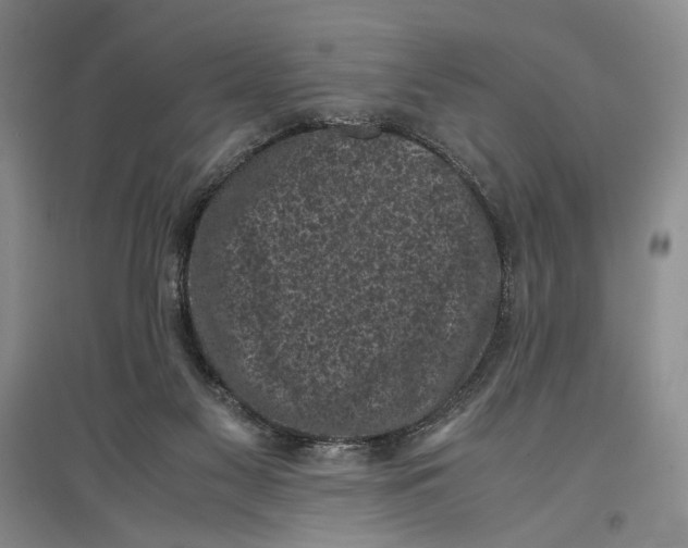 X0000096980117200802291155