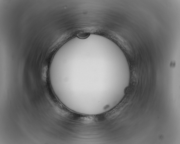 X0000096980118200802291155