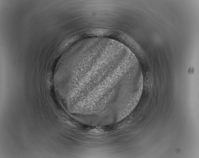 X0000096980119200802291155