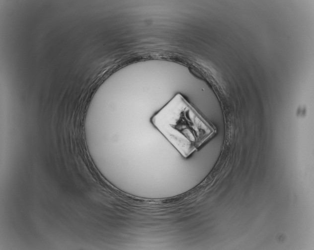 X0000096980121200802291155