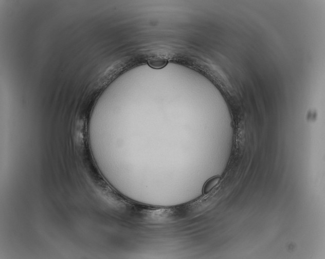 X0000096980122200802291155