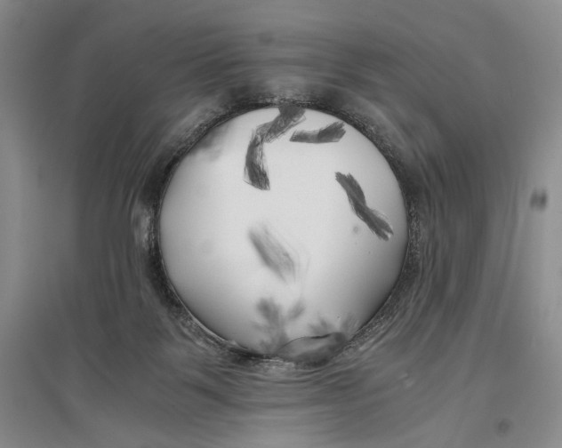 X0000096980123200802291155