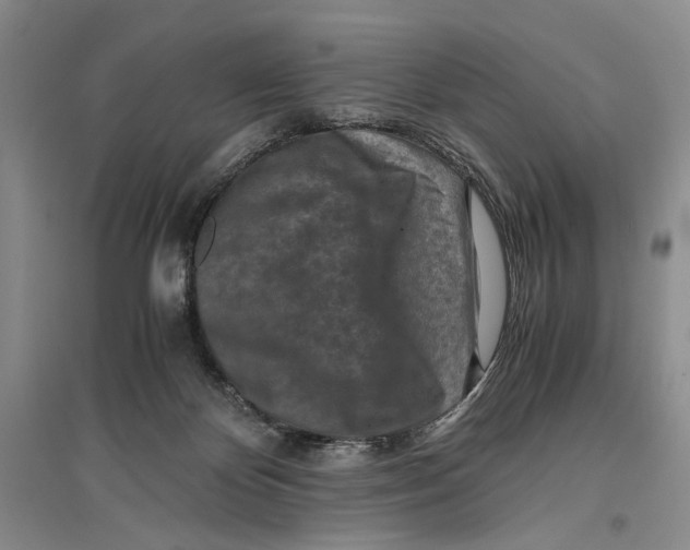 X0000096980124200802291155