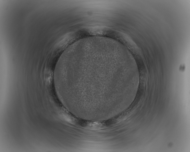 X0000096980125200802291155