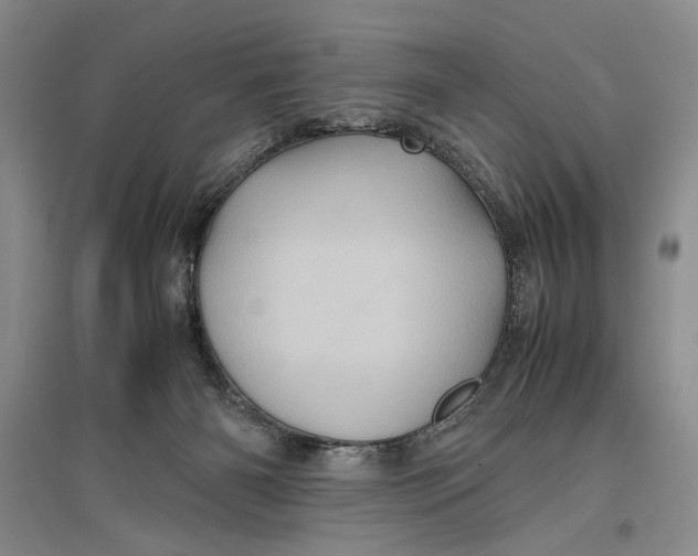 X0000096980126200802291155