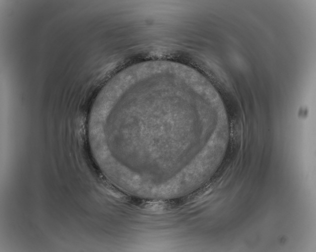 X0000096980127200802291155