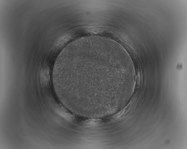 X0000096980128200802291155