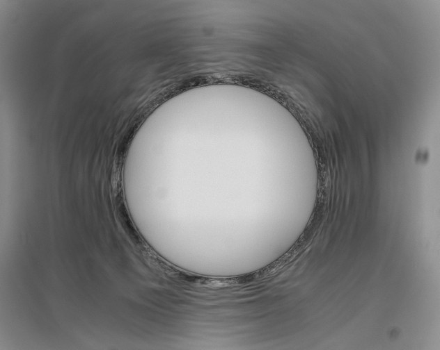 X0000096980129200802291155