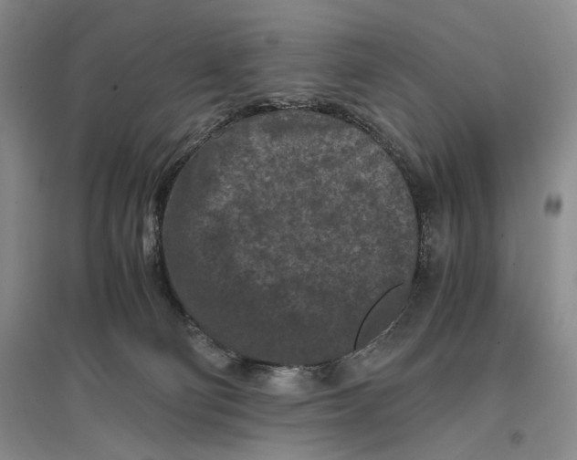 X0000096980130200802291155