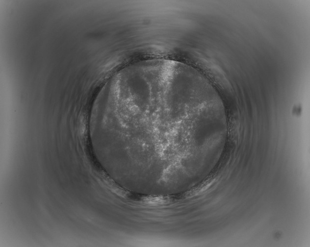 X0000096980131200802291155