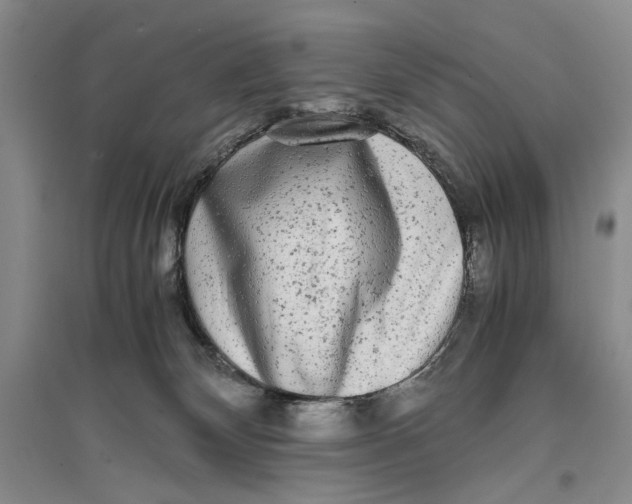 X0000096980132200802291154