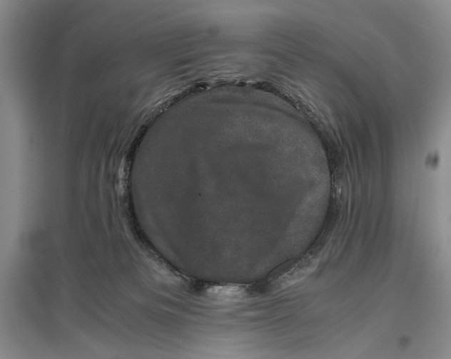 X0000096980133200802291154