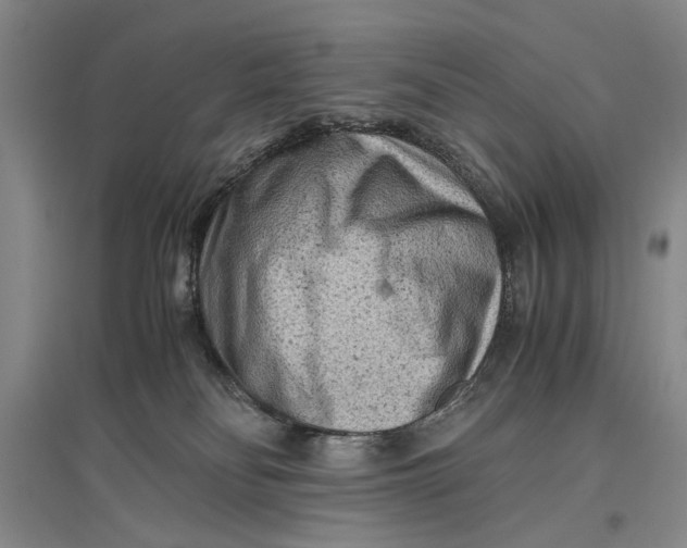 X0000096980134200802291154