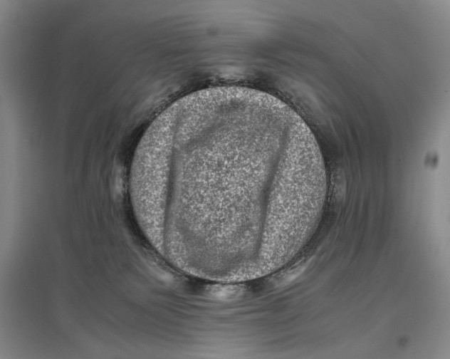 X0000096980135200802291154