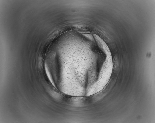 X0000096980136200802291154